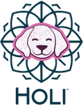 Holi