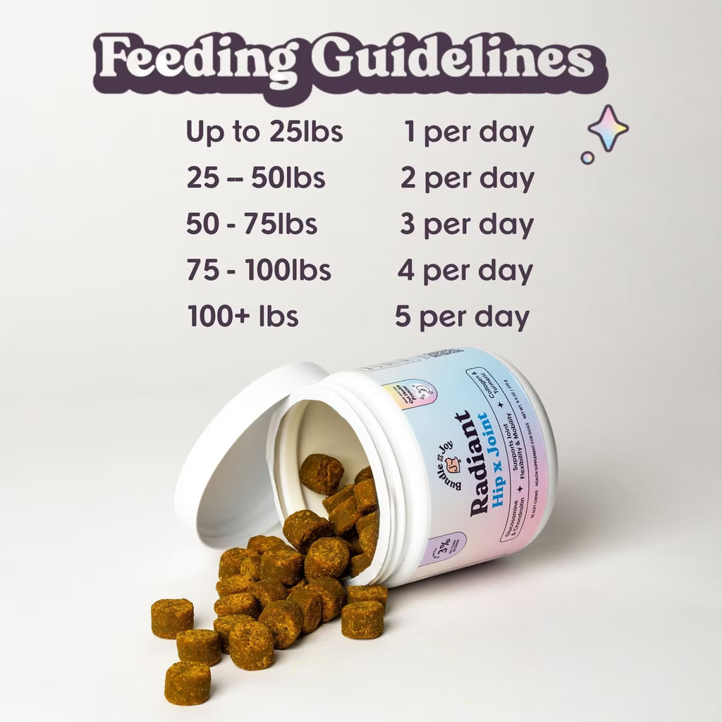 Bundle x Joy Radiant Hip x Joint Chew Supplement for Dogs, 90 count