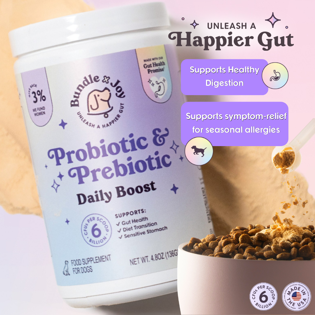 Probiotic & Prebiotic Daily Boost Powder | Digestive Support