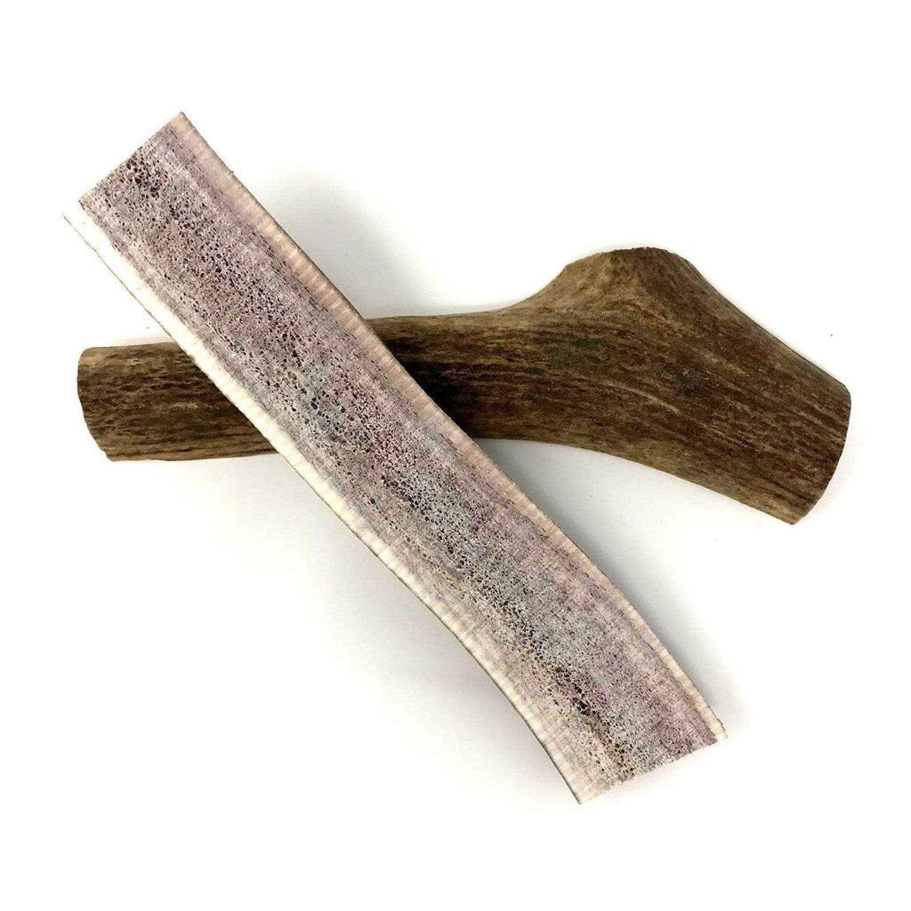 Elk Antlers - Large image 0