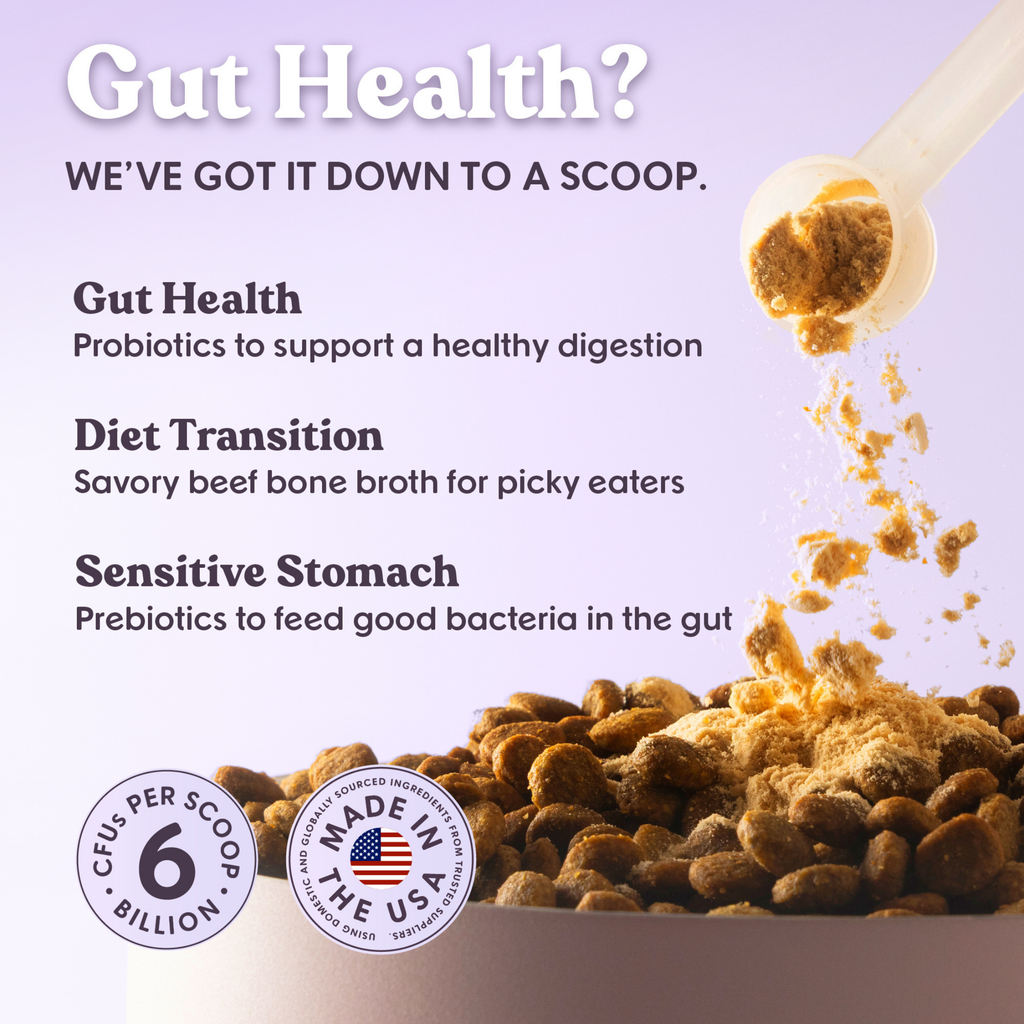 Probiotic & Prebiotic Daily Boost Powder | Digestive Support