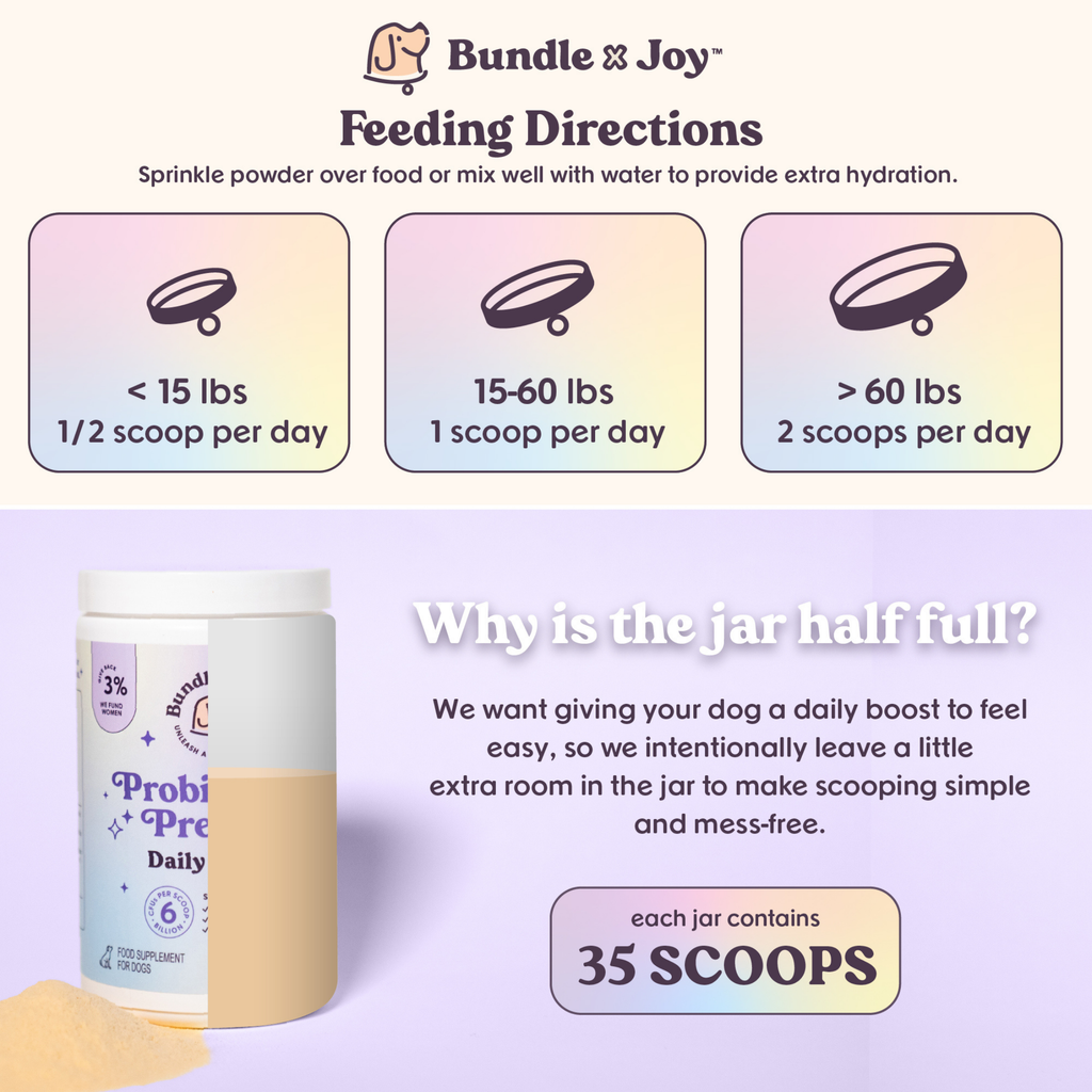 Probiotic & Prebiotic Daily Boost Powder | Digestive Support