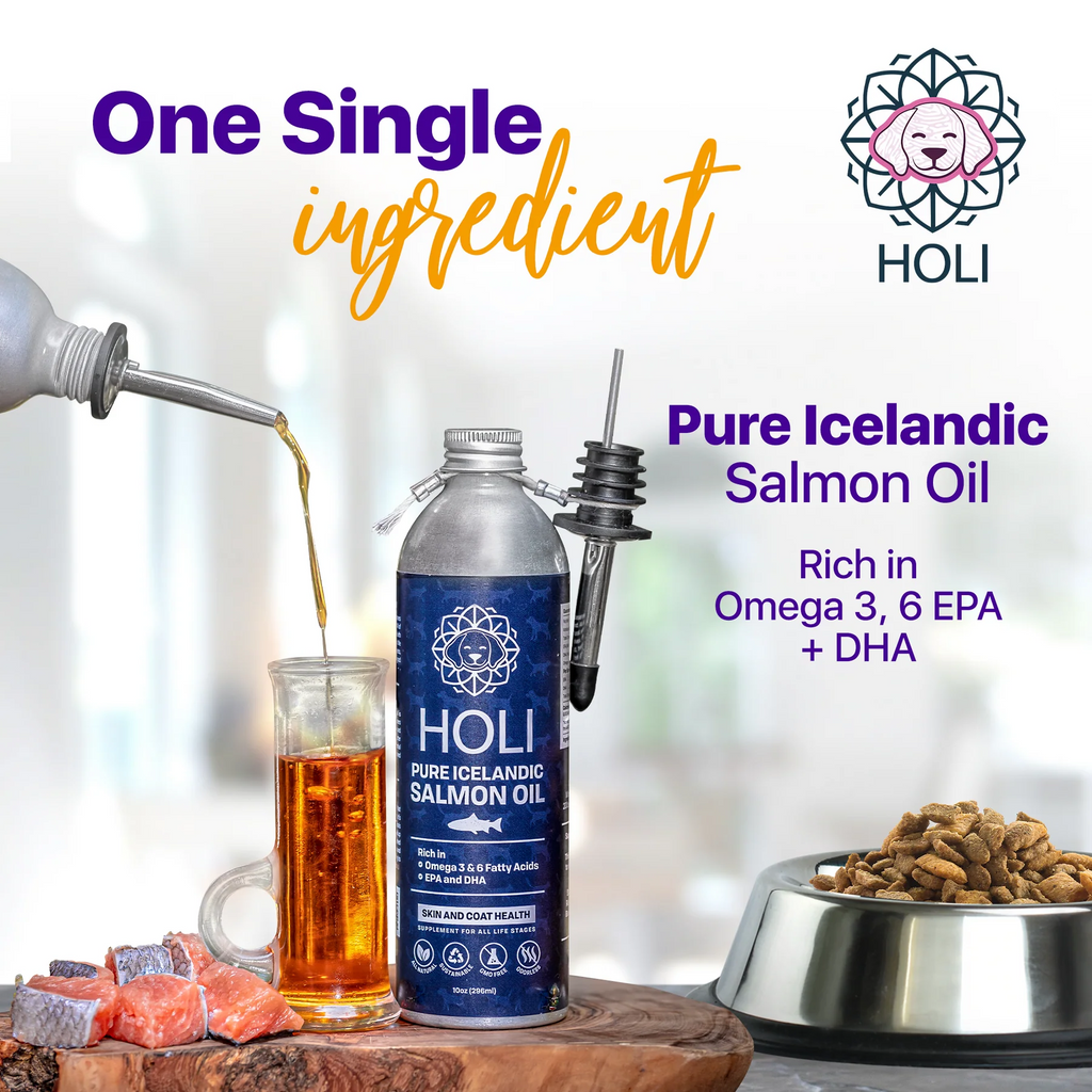 Holi Icelandic Salmon Oil for Dogs image 1