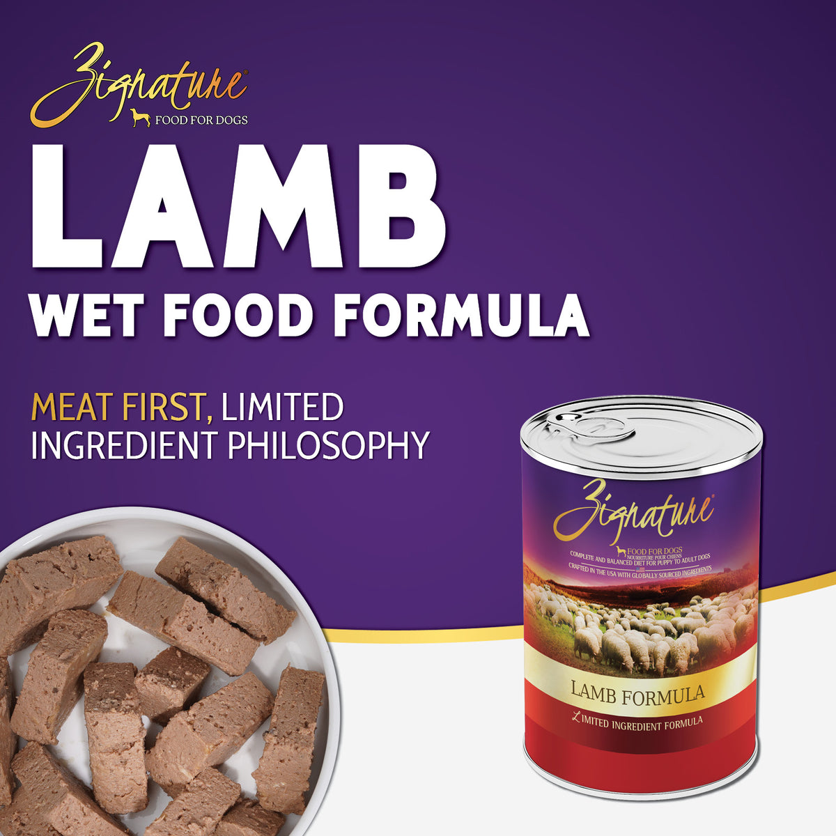 LIMITED INGREDIENT FORMULA GRAIN FREE LAMB RECIPE CANNED DOG FOOD