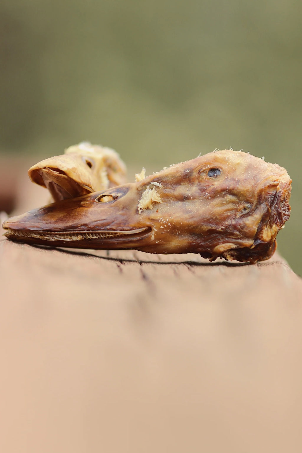 Gaines Family Farmstead - Duck Heads