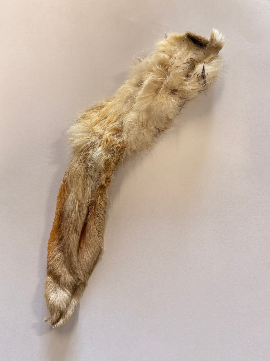Rabbit Ears Furry Dog Natural Chew