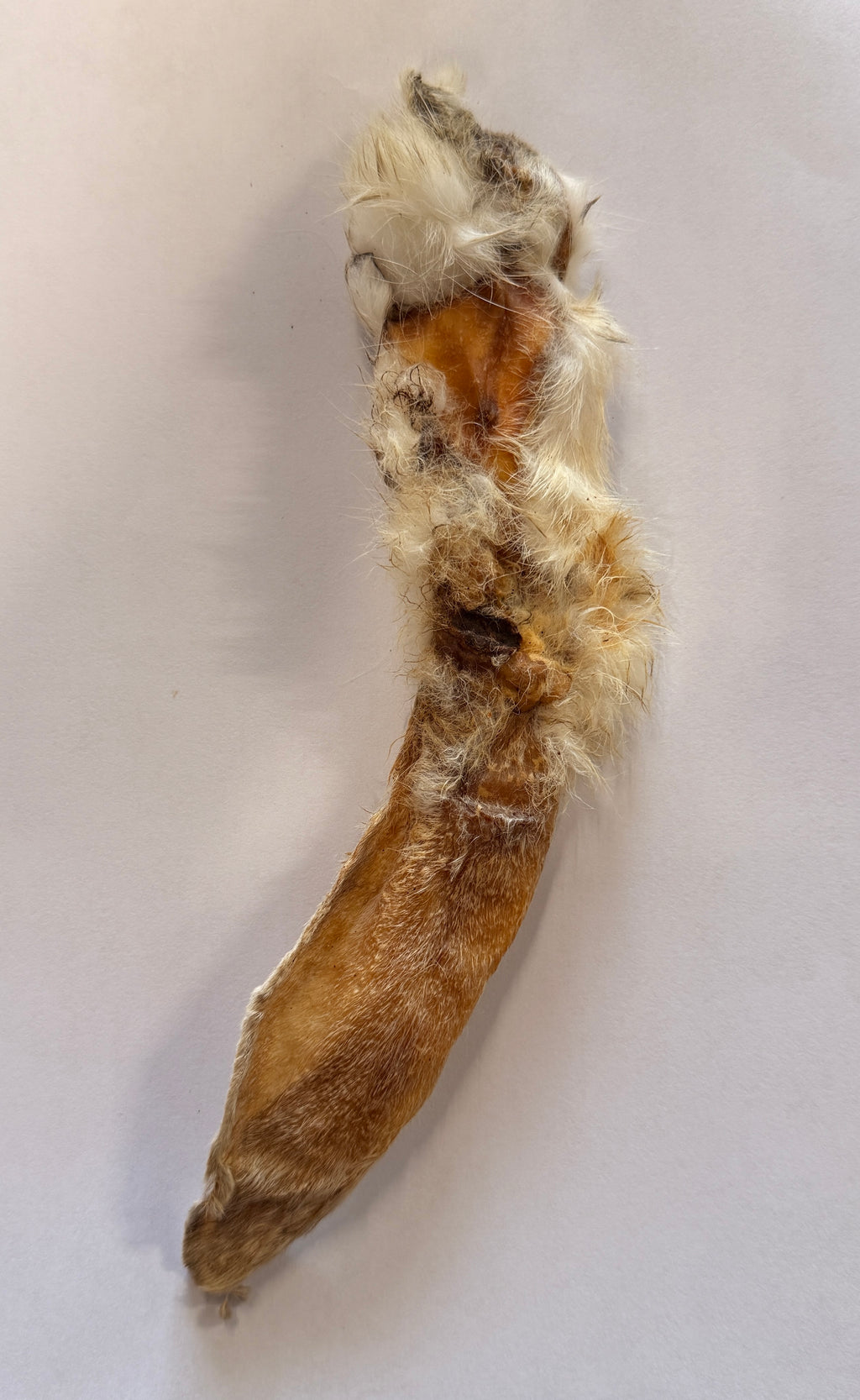 Rabbit Ears Furry Dog Natural Chew