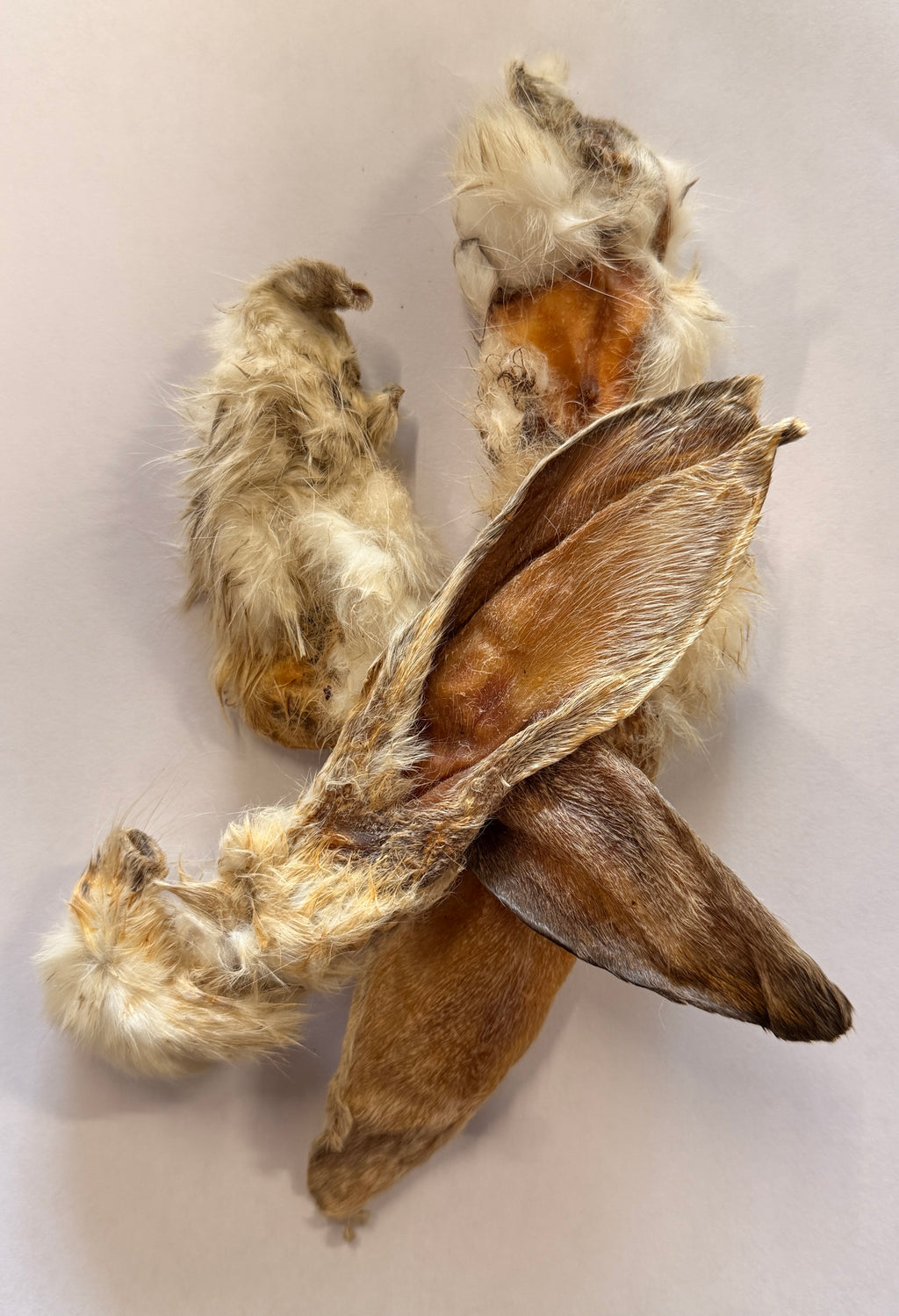 Rabbit Ears Furry Dog Natural Chew