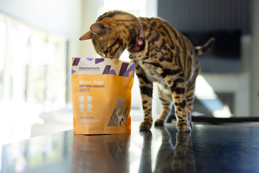 Momentum Freeze-Dried Bison Liver Treats for Dogs & Cats | Single Ingredient, High-Protein