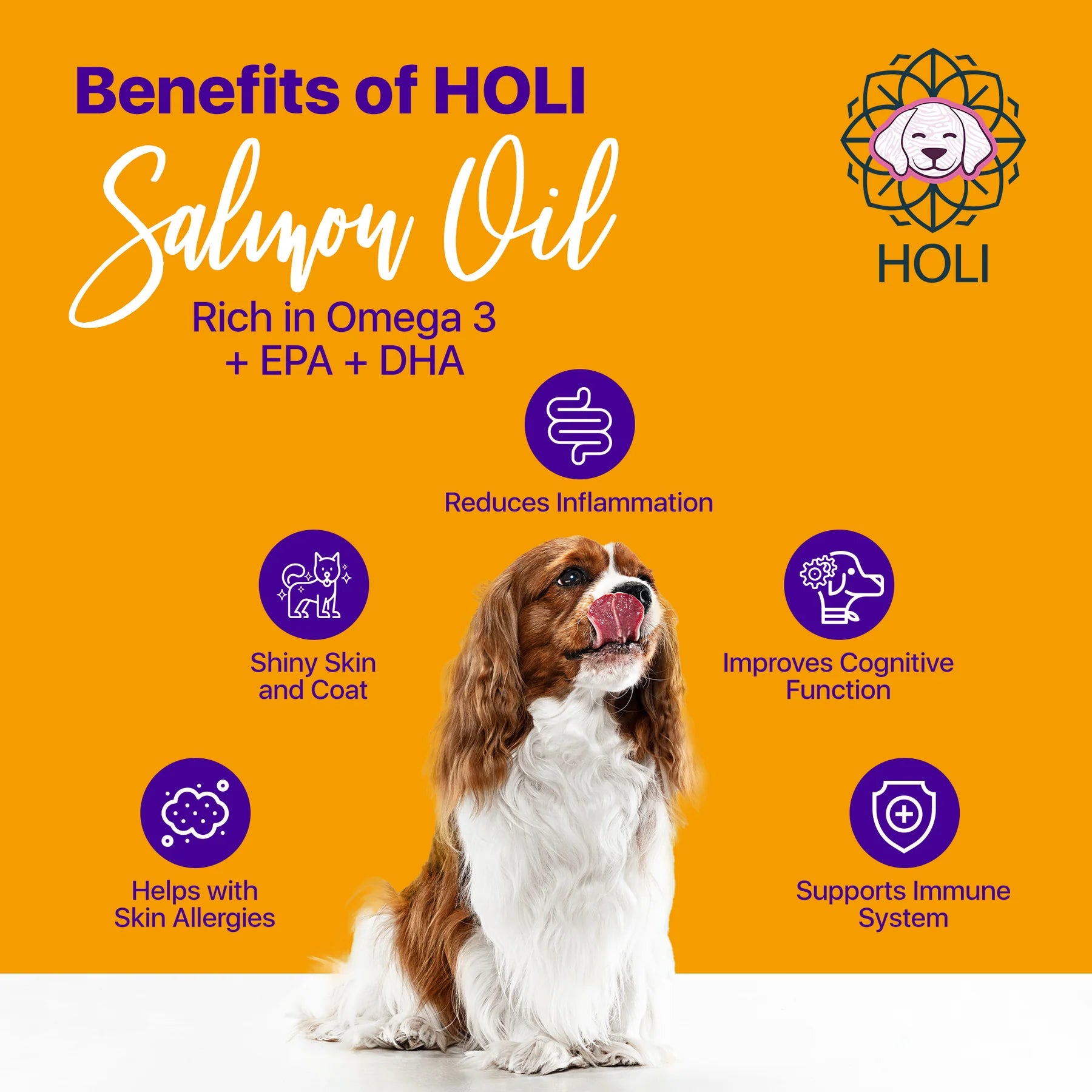 Holi Icelandic Salmon Oil for Dogs image 2